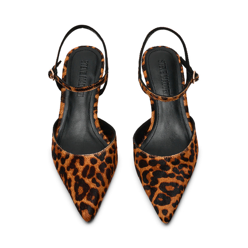 ADELAIDE-L Leopardo