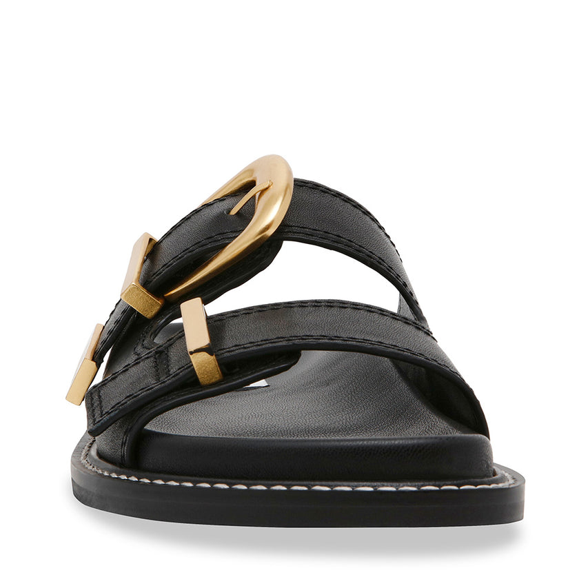 ARCH NEGRO