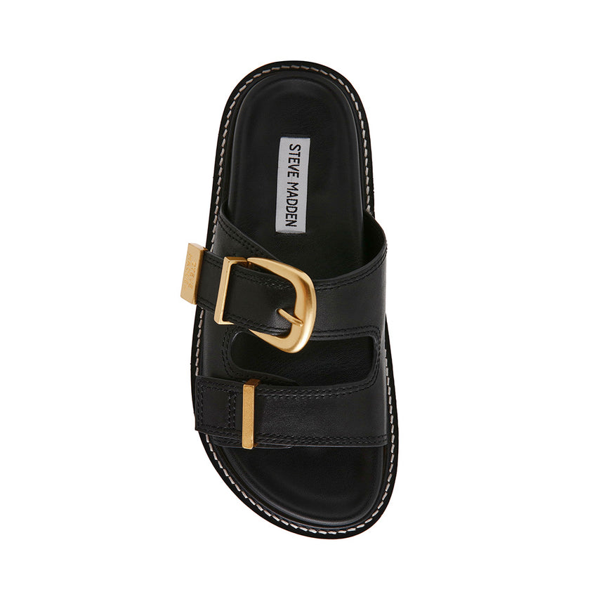 ARCH NEGRO
