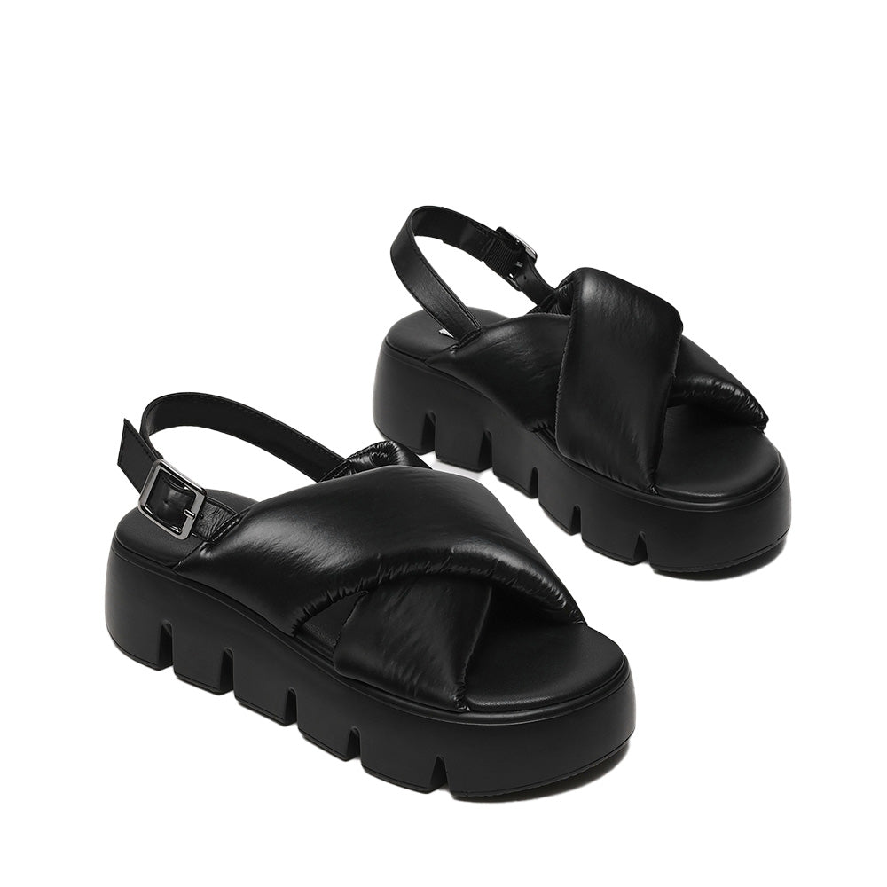 Backtrack Negro