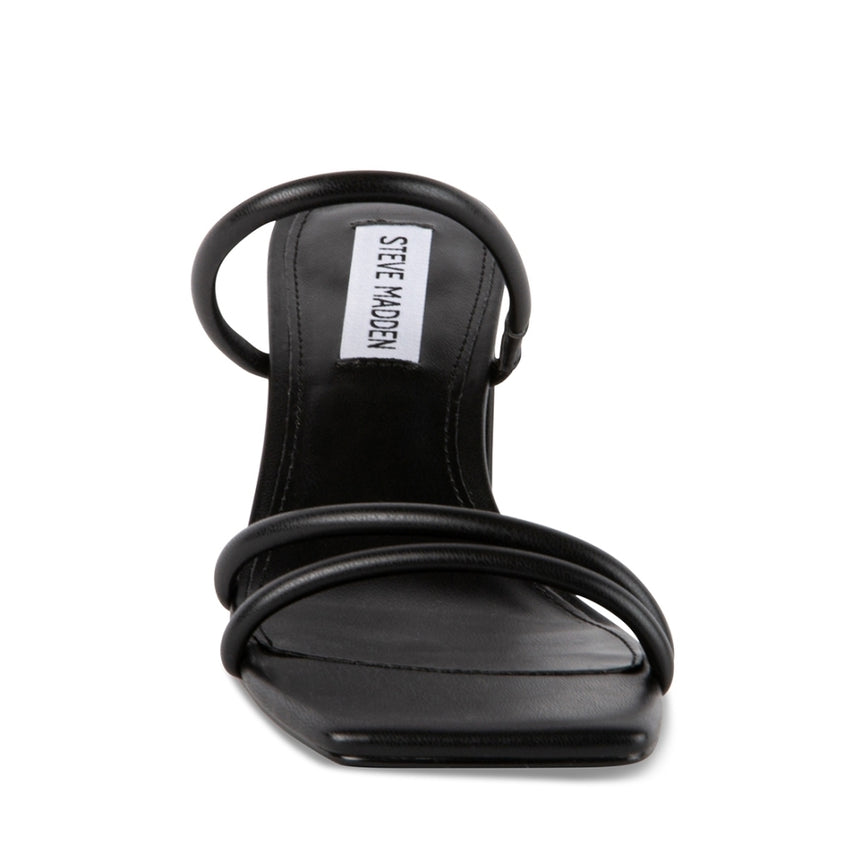 LAVANI BLACK