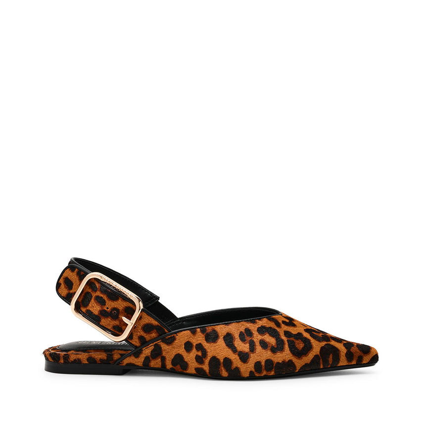 SIANNAL LEOPARDO