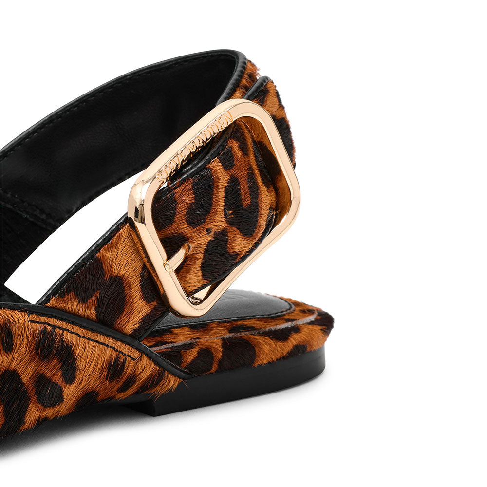 SIANNAL LEOPARDO - view 5