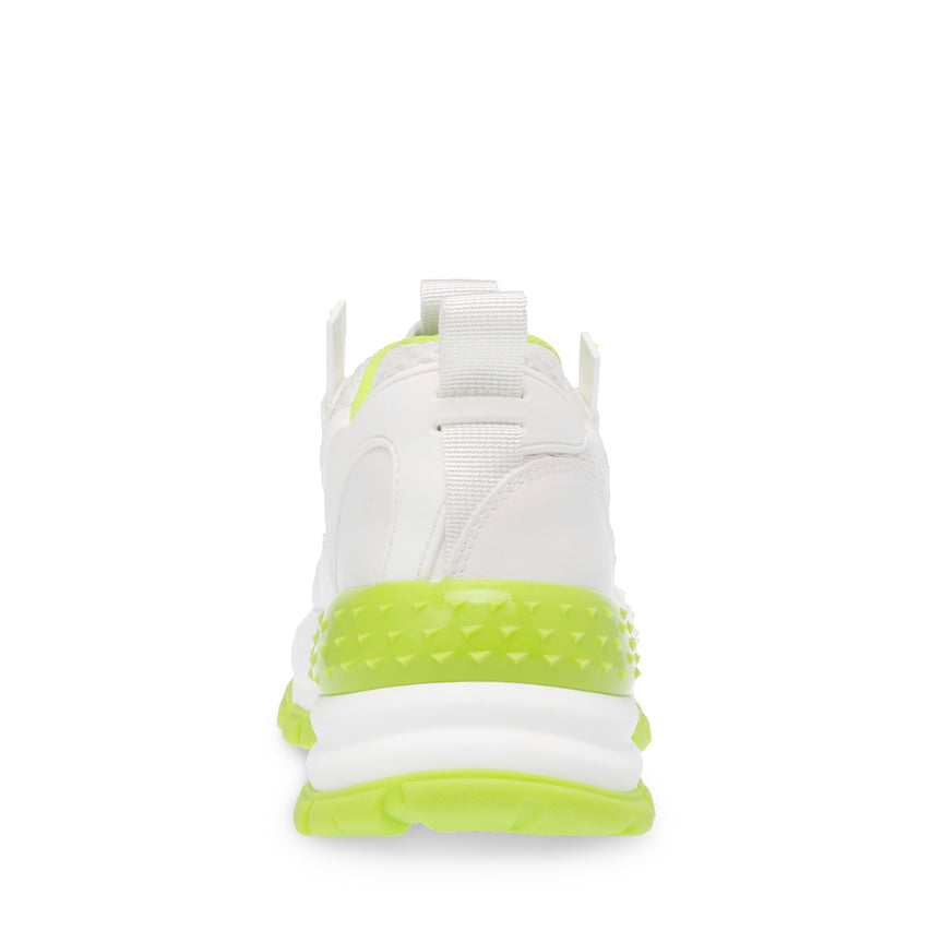 DRAGONFLY MULTICOLOR