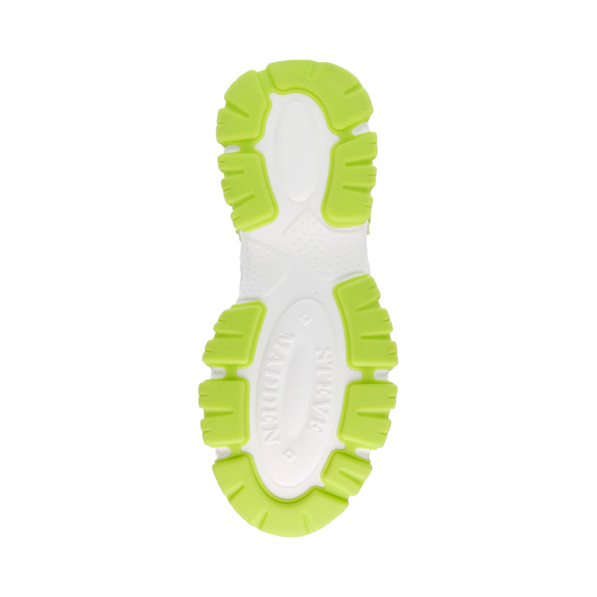 DRAGONFLY MULTICOLOR