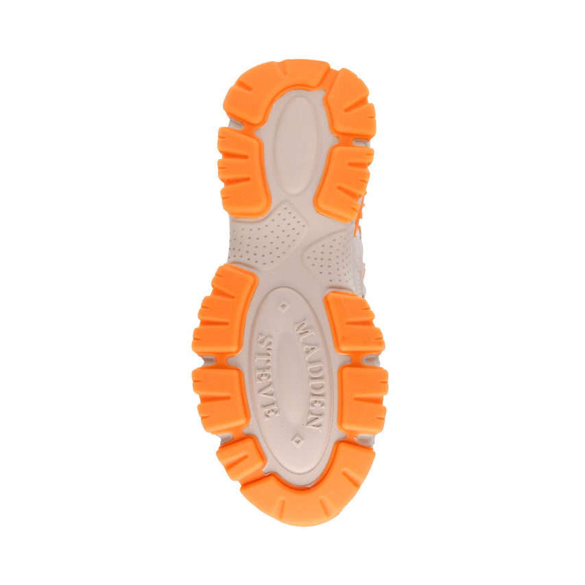 DRAGONFLY MULTICOLOR